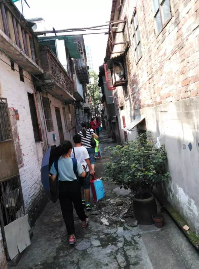 榴友最新动态深度解析与观点阐述
