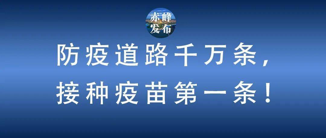 赤峰最新权威发布，城市发展与未来展望展望报告