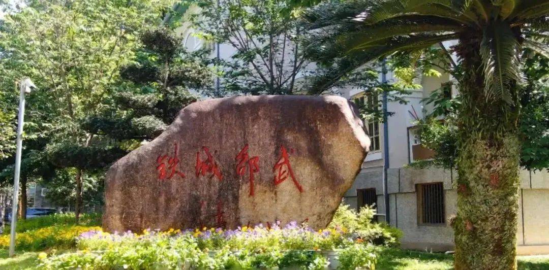 邵武最新病毒，背景、事件、影响与时代地位全解析